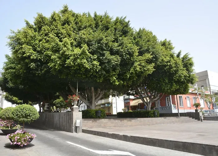 Zona Rural * Güímar